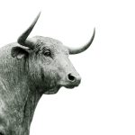 bull grayscale photo